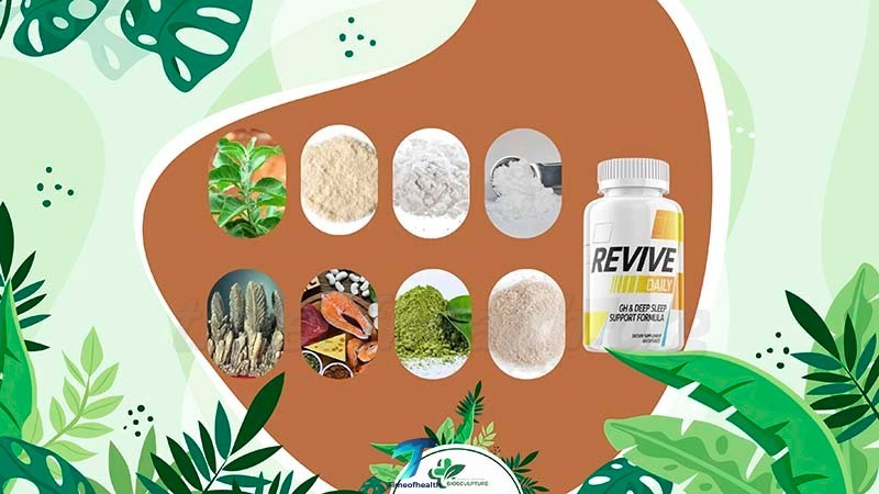 Ingredients Found in Revive Daily's Formula